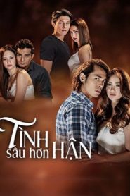 Tình Sâu Hơn Hận